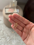 Cadenita con dos dijes